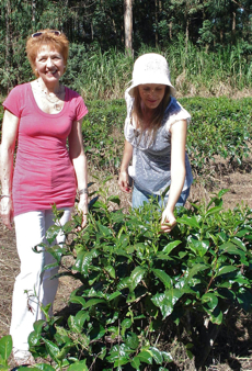 Jane Pettigrew and Vicky Bisogno at the tea plantations in the north of Argentina